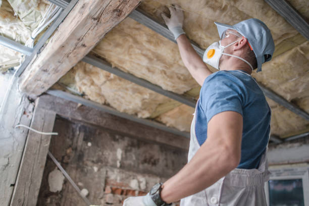 Best Commercial Insulation Services  in USA